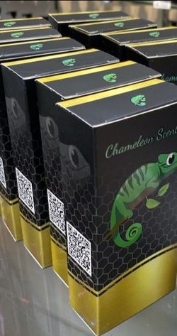 Perfumes victory desert scents