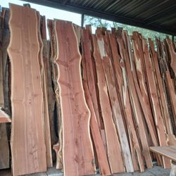 Wood Slabs 