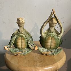 Green Turtles