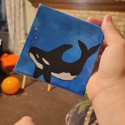 Orca