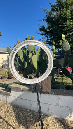 Light stand