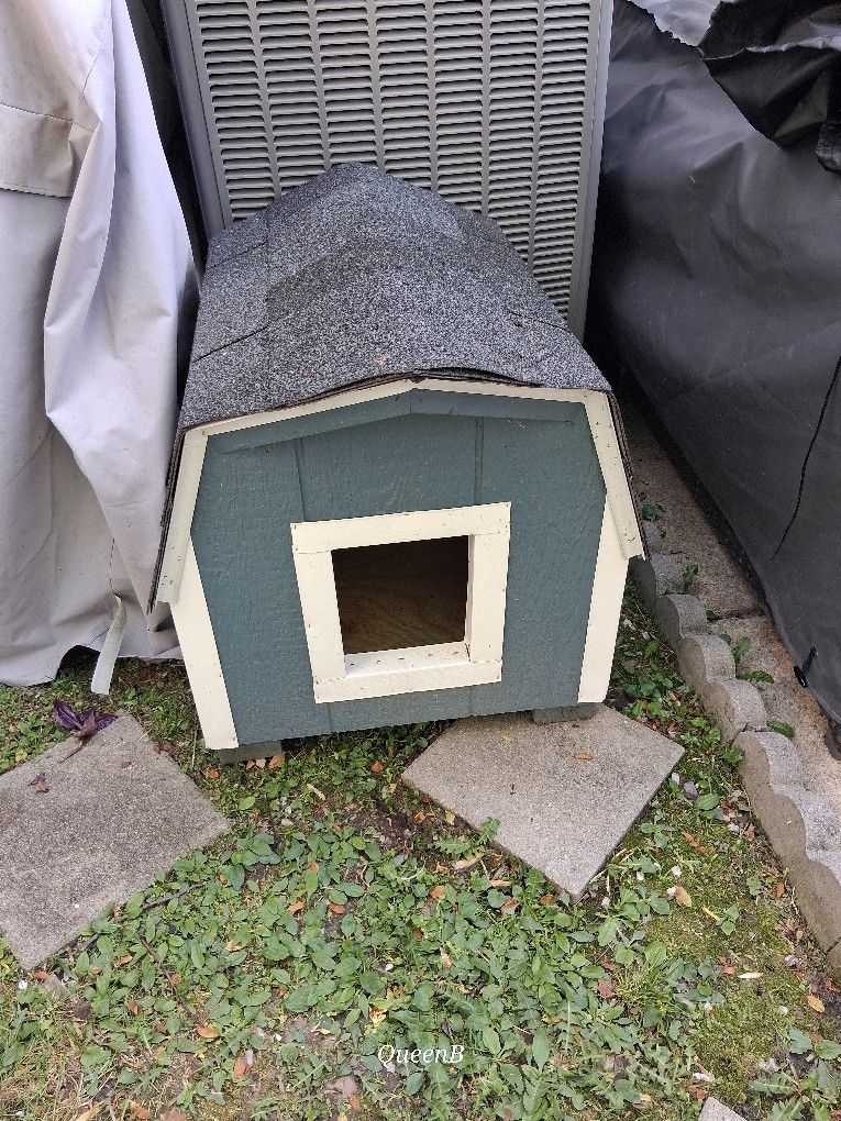 Dog House