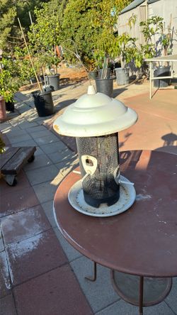 Bird Feeder