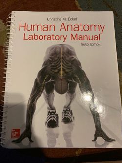 Anatomy lab manual
