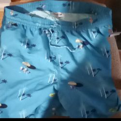 Men's Goodfellas & Co Sz L Swimming Truck 