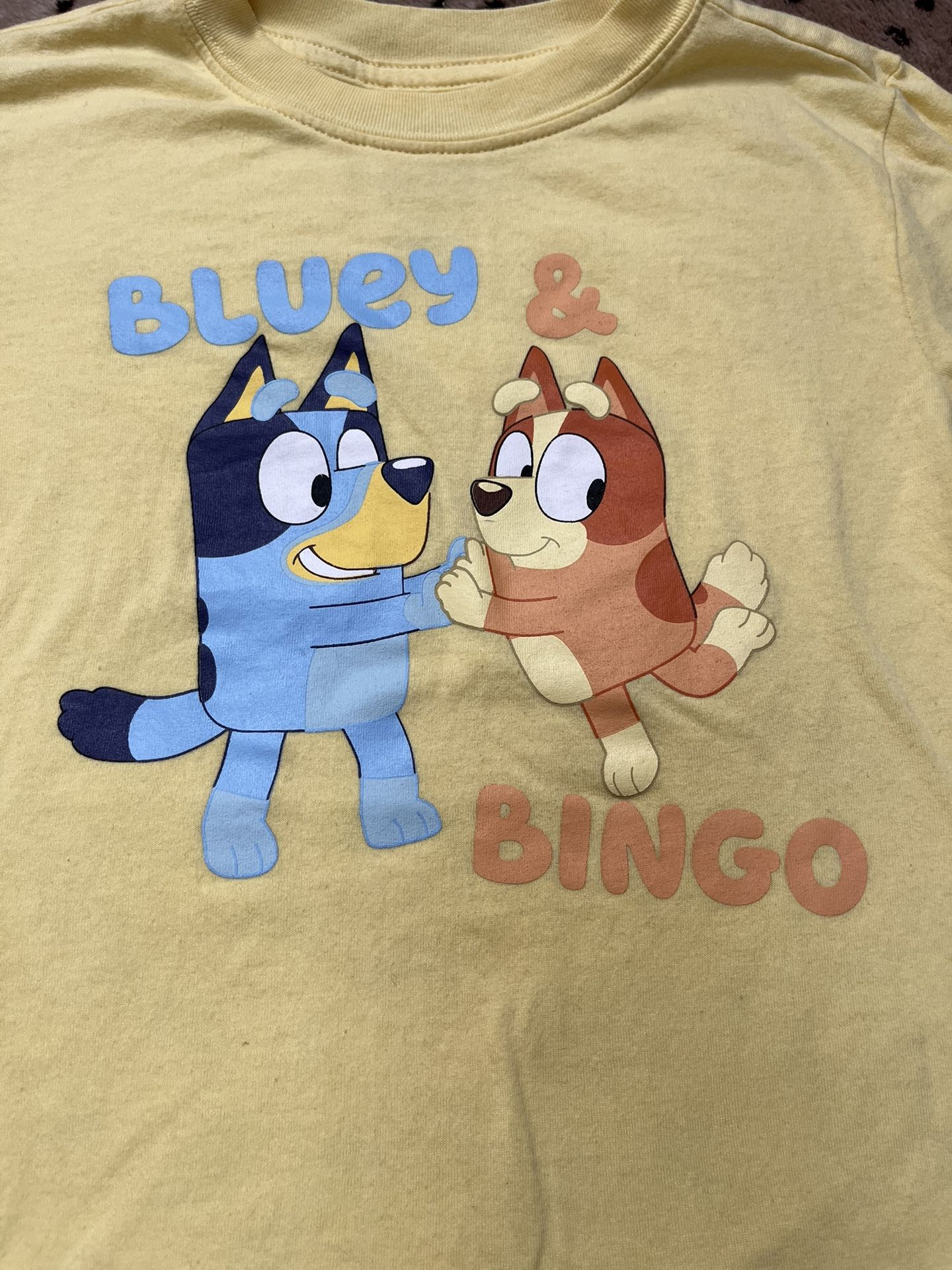 Bluey And Bingo Yellow Youth Shirt Sz 5 6