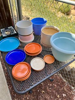 Various Plant Pots and Saucers