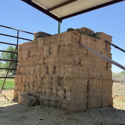 Alfalfa Hay Bales