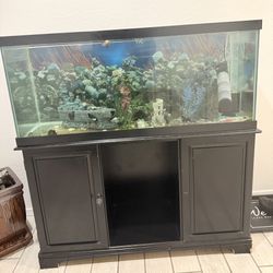 100 GALLON TANK 