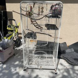 Big Bird Rolling Cage