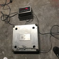 Weight Scale