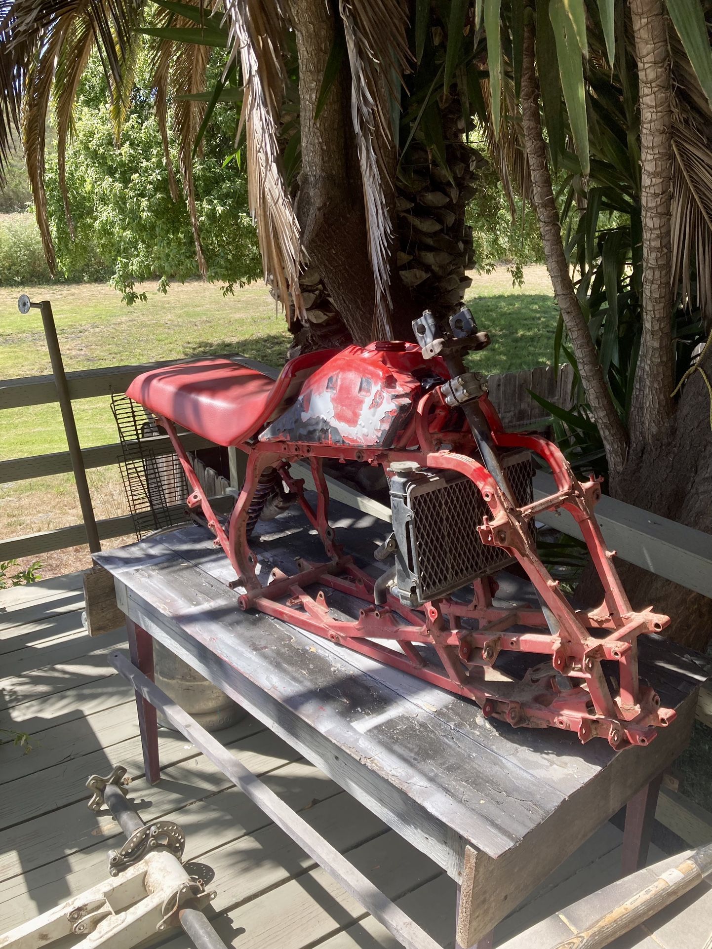 1986 Honda TRX250R