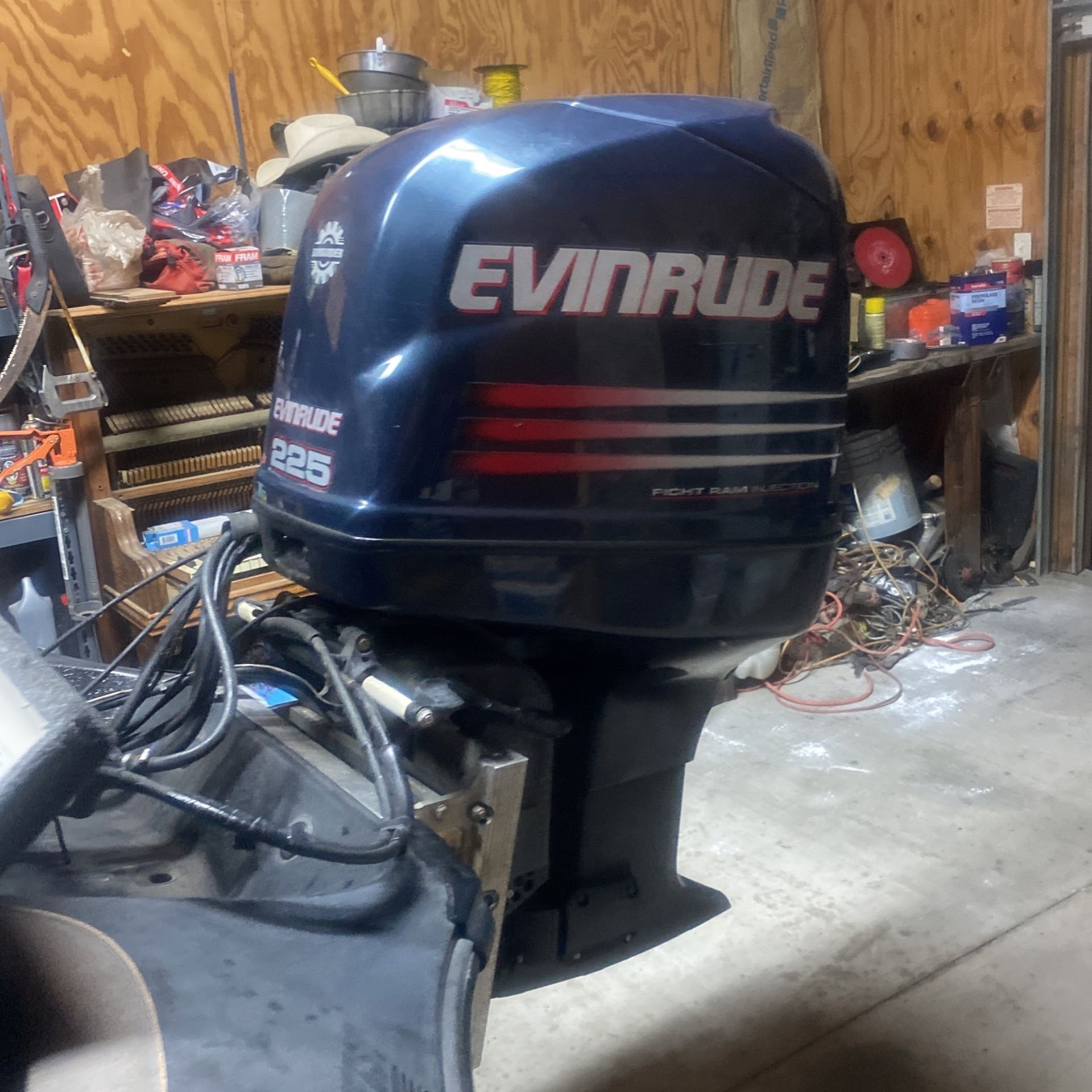 Evinrude Outboard 