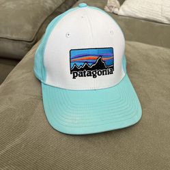 Rare Vintage Patagonia SnapBack Hat Sea Green, Teal, Not Nike, Supreme