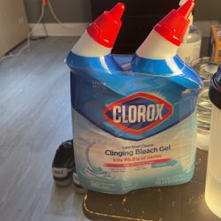 Clorox Toilet Bowl Cleaner 