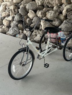 Three wheeler bike