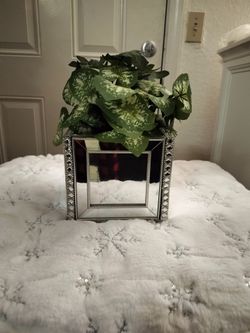 Mother's Day Gifts