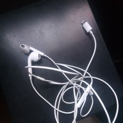 Apple Earphones