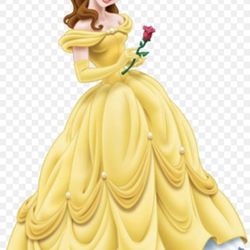 Princess Belle Costume (Beauty and the beast)