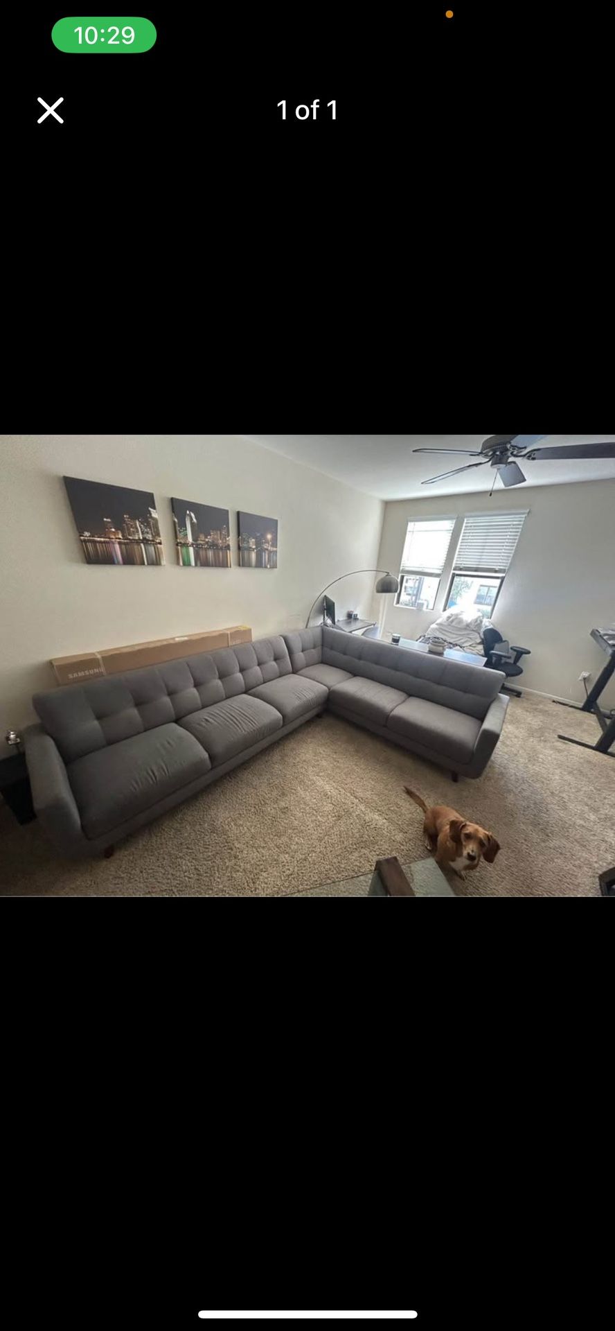 Sectional Couch