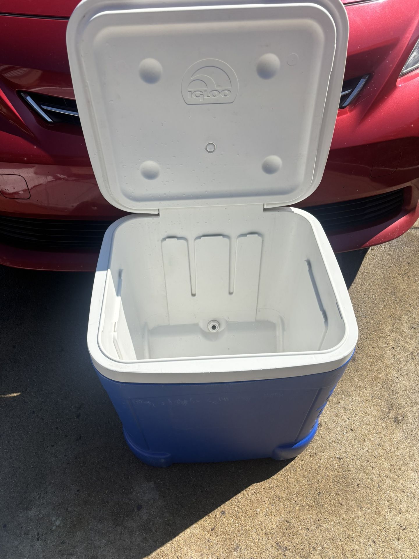 60 qt Igloo Cooler