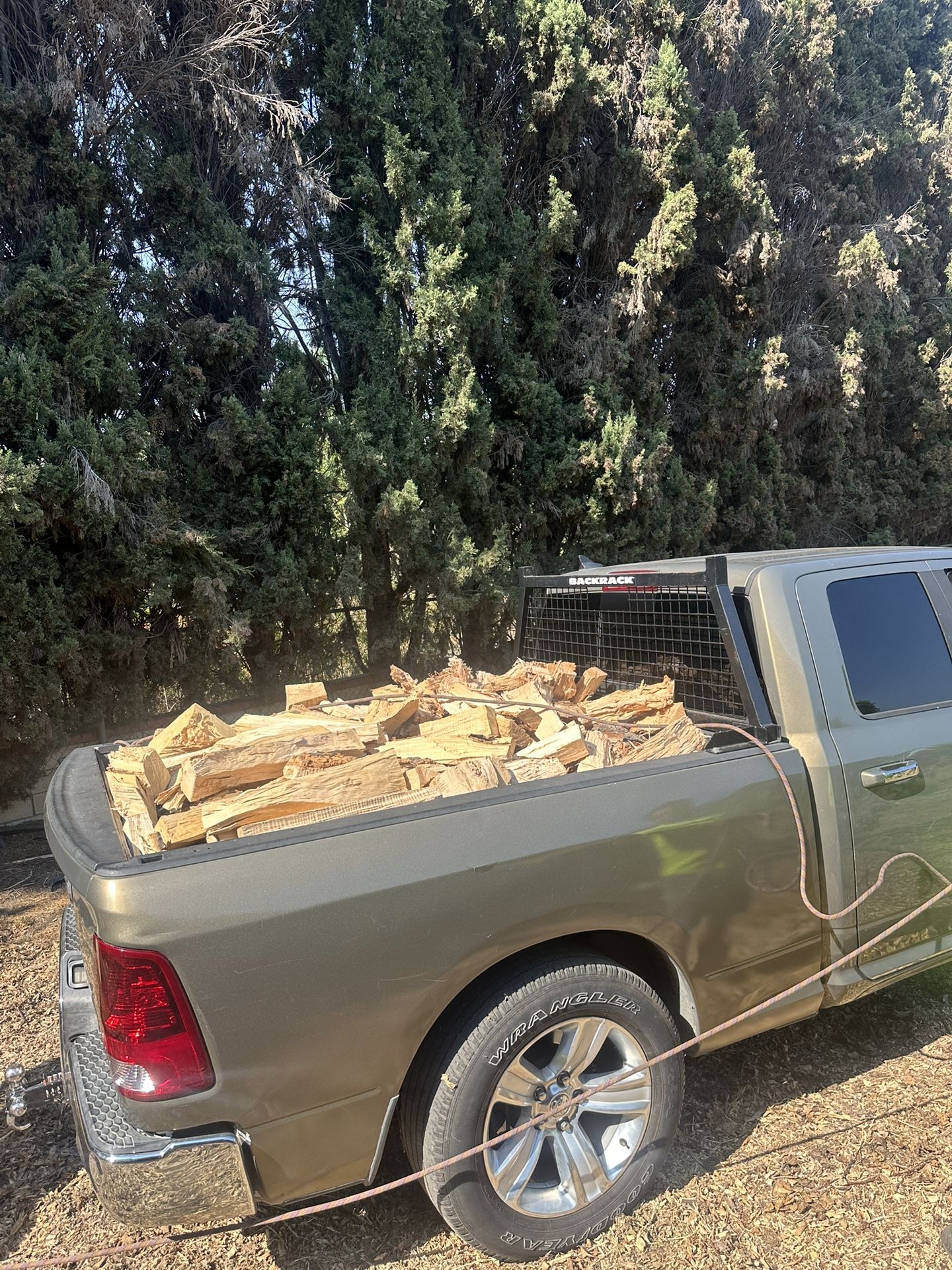 Firewood 🪵