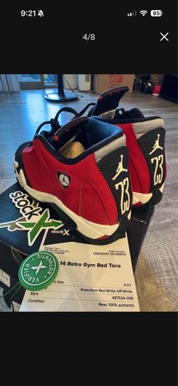 Toro Jordan 14s