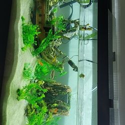 125 Gallon Fish/turtle Tank With All Equipment 