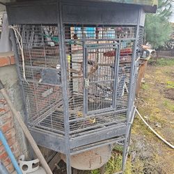 Bird Cage