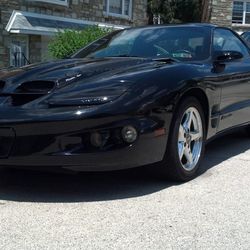 Firebird,Formula,Camaro,Trans Am (Parts)