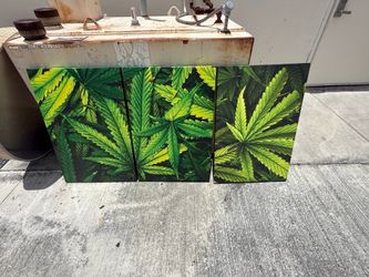wall  picture
