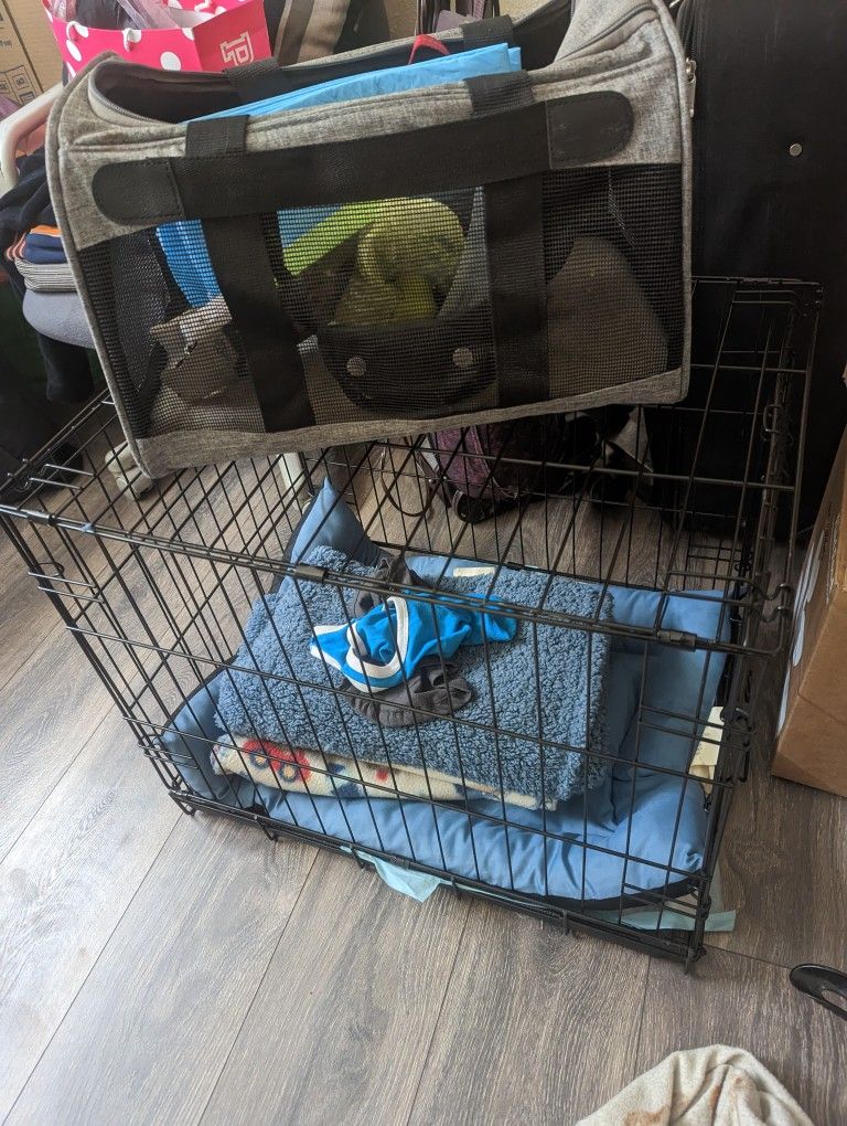 Pets