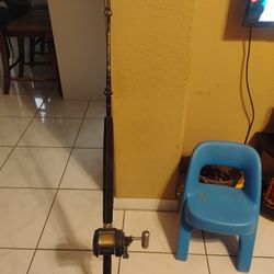 Penn Senator Stand-Up Rod & Okuma T-20 Reel