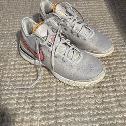 Nike Zoom LeBron NXXT Gen Da Vinci