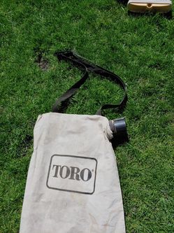 Toro
