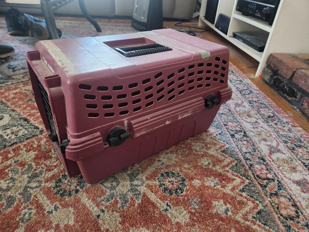 cat carrier
