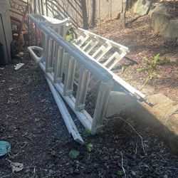 Free Pool ladder in good condition