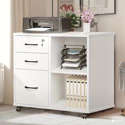 Printer Stand /File Drawer