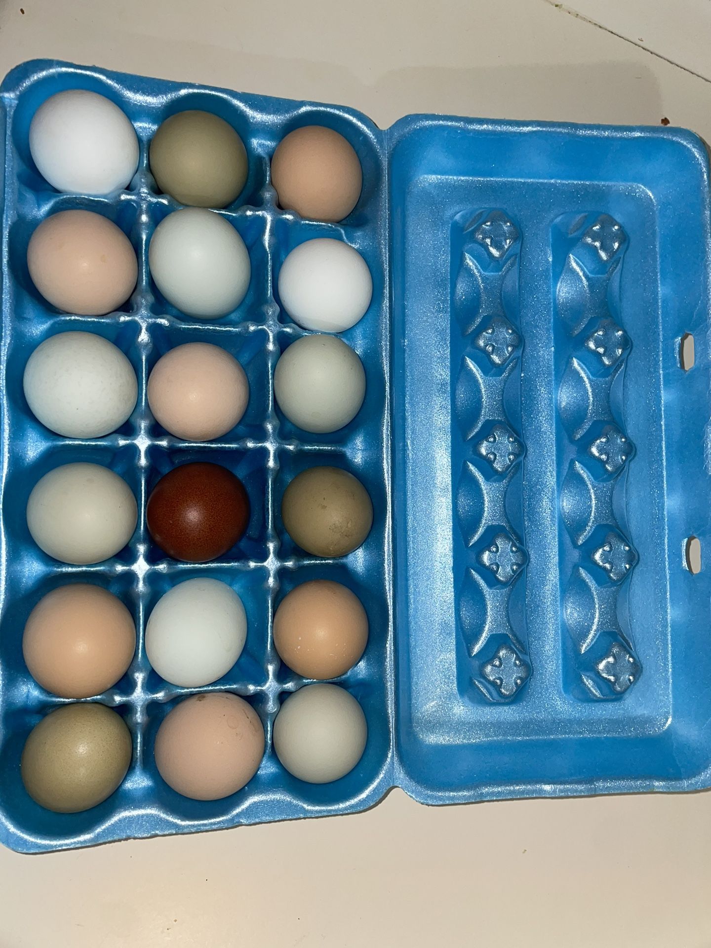 Farm Fresh Eggs! 6$ - Dozen
