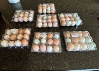 Eggs  for sale.  $4 a dozen