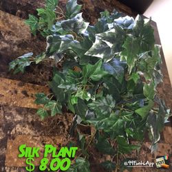 Silk Decor Plant