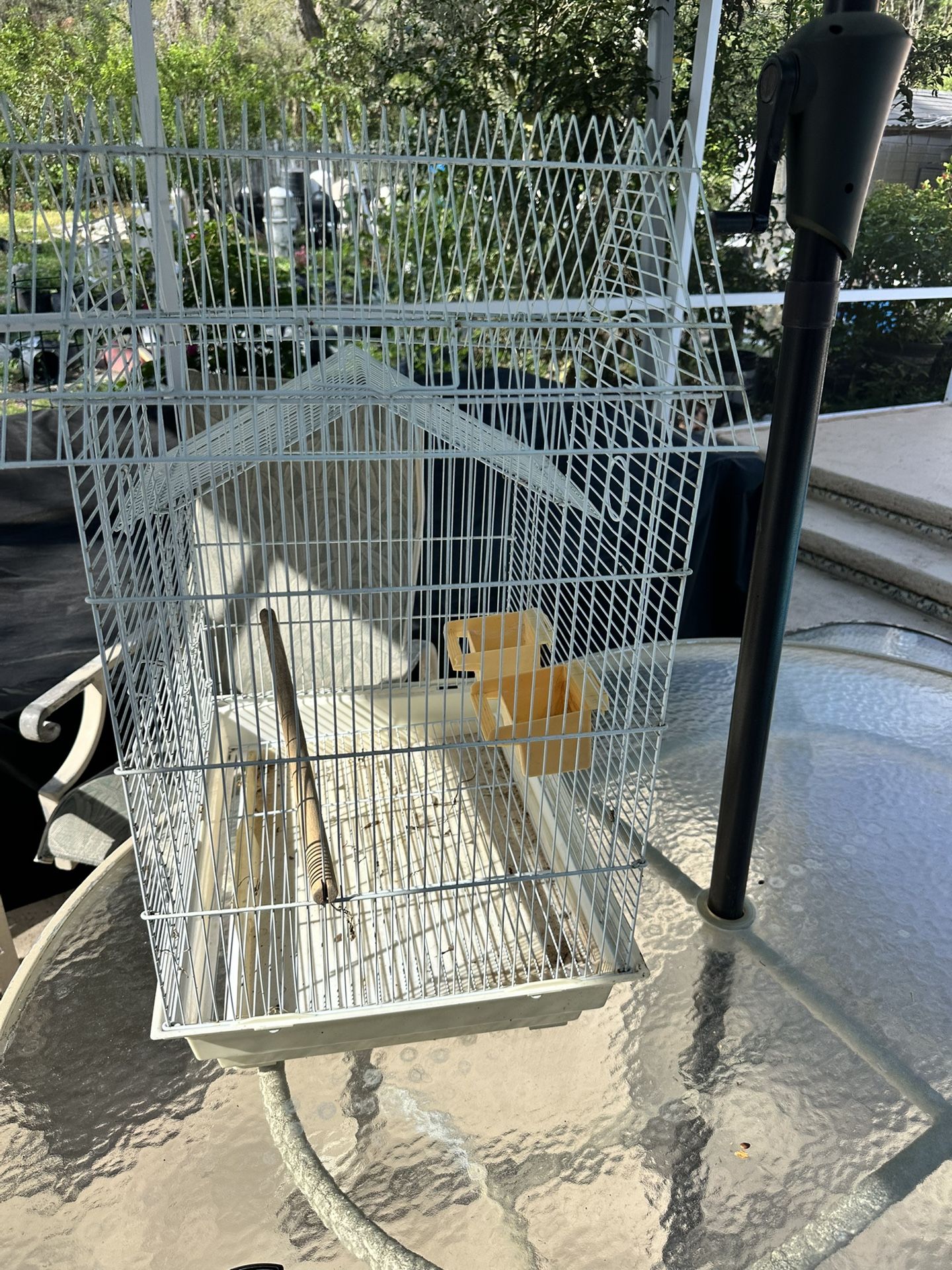 Birdcage