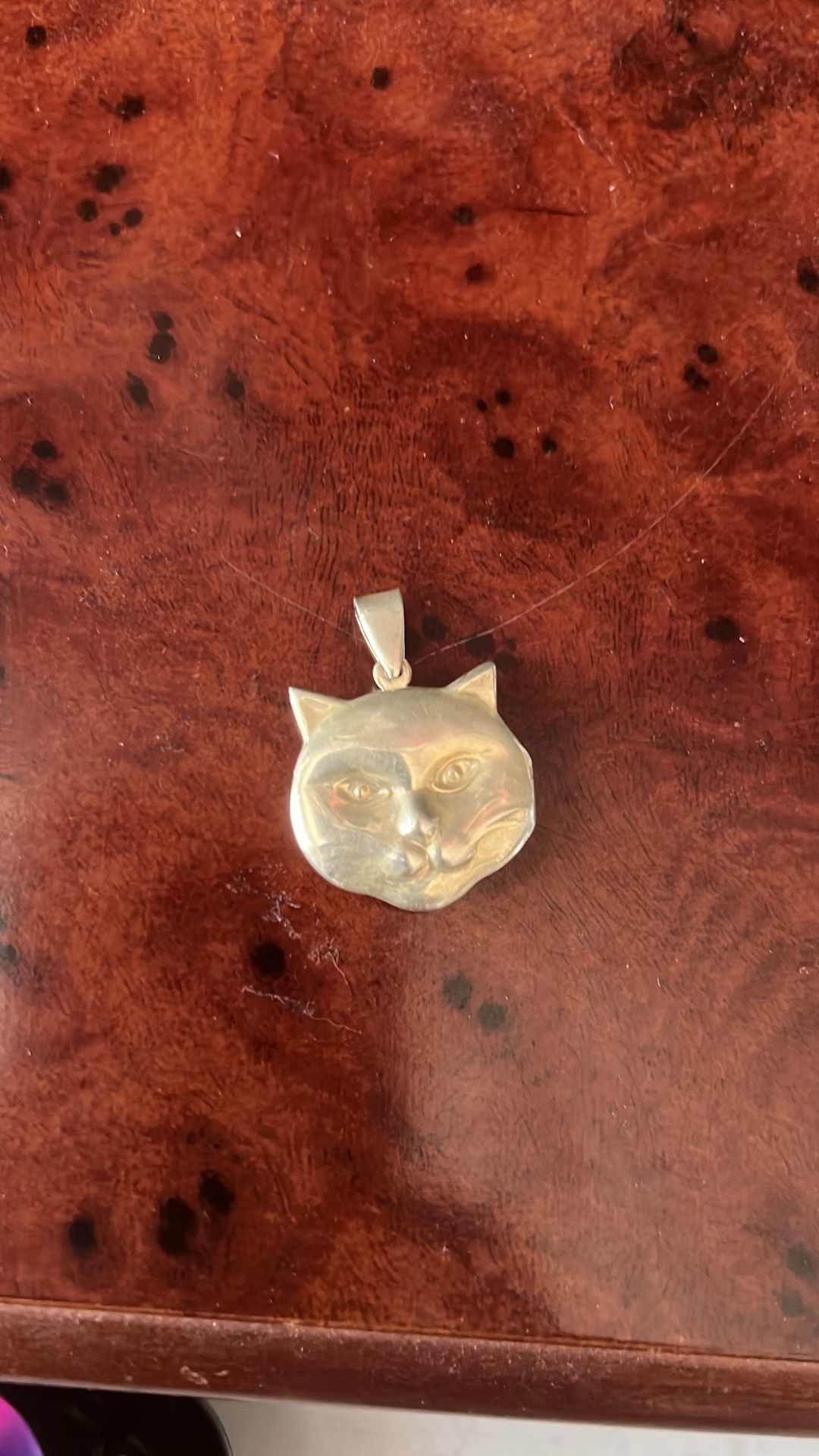 Sterling Silver Cat Pendant (Holds Pictures Inside)