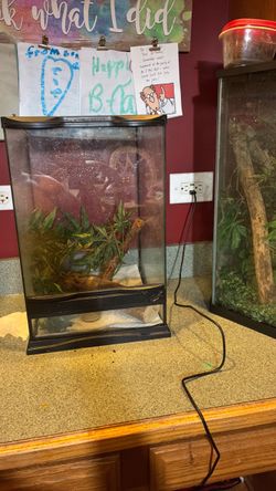 Medium reptile terrarium tank 12x12x18