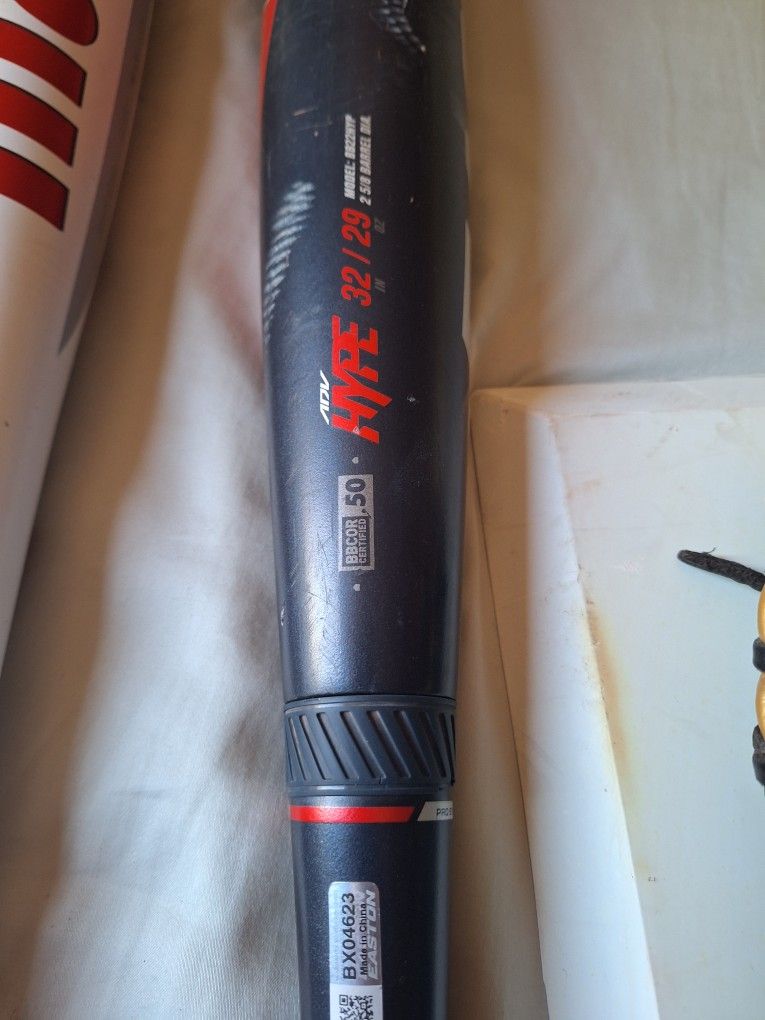 Baseball Bats and Glove
