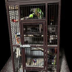Bird Cages 