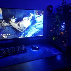Gaming Setup