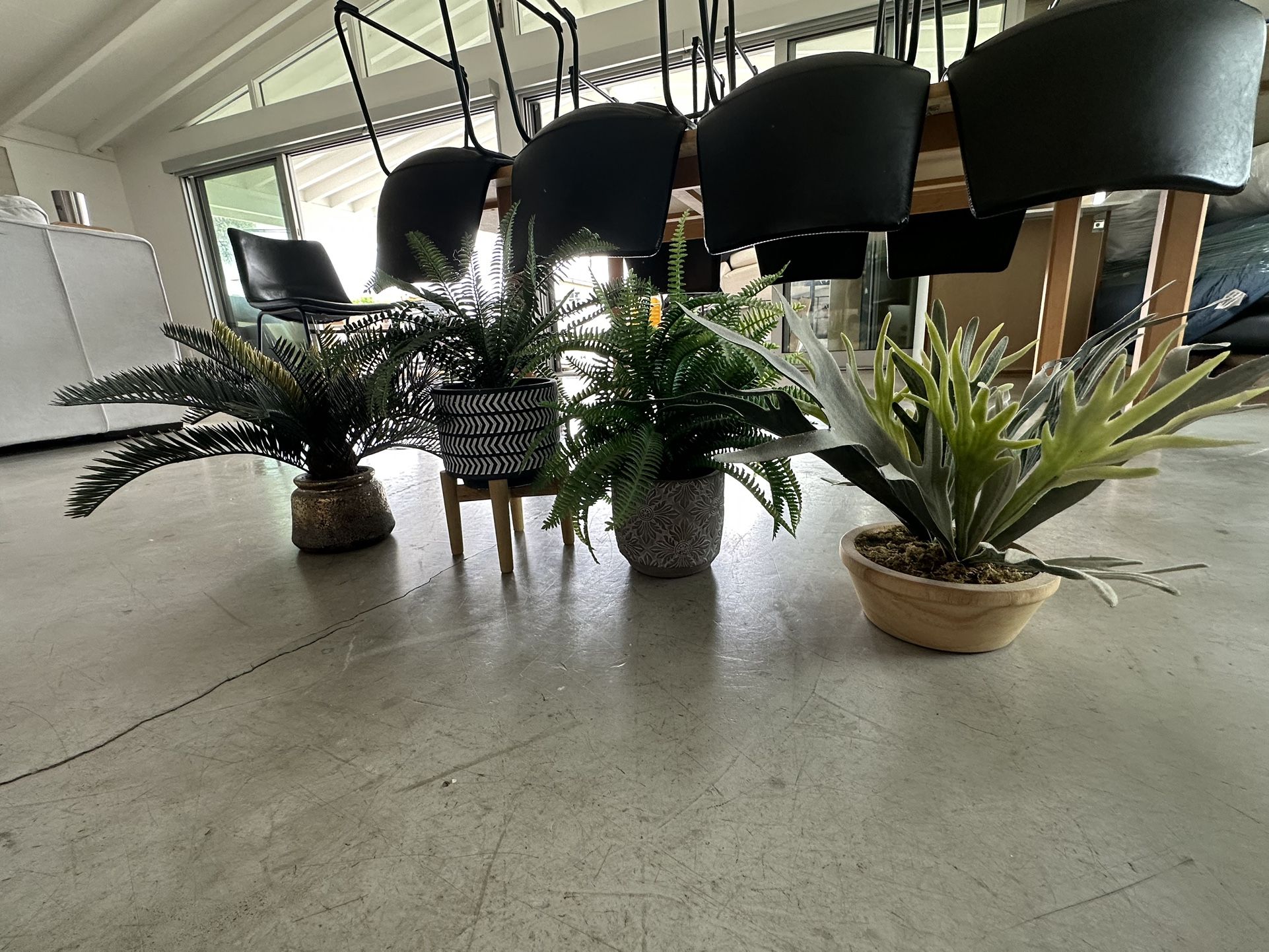 Fake Plants