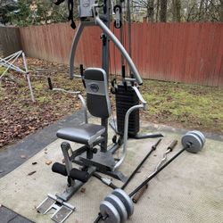 Gym Multi-gym, boxing bag and speed bag stand, weight plates and bars.