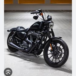 Bassani road rage b1 exhaust system 2-1 black for 04-13 xl sportser